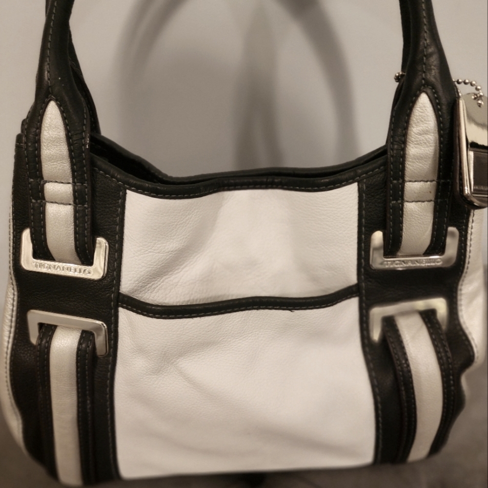 Tignanello Purse